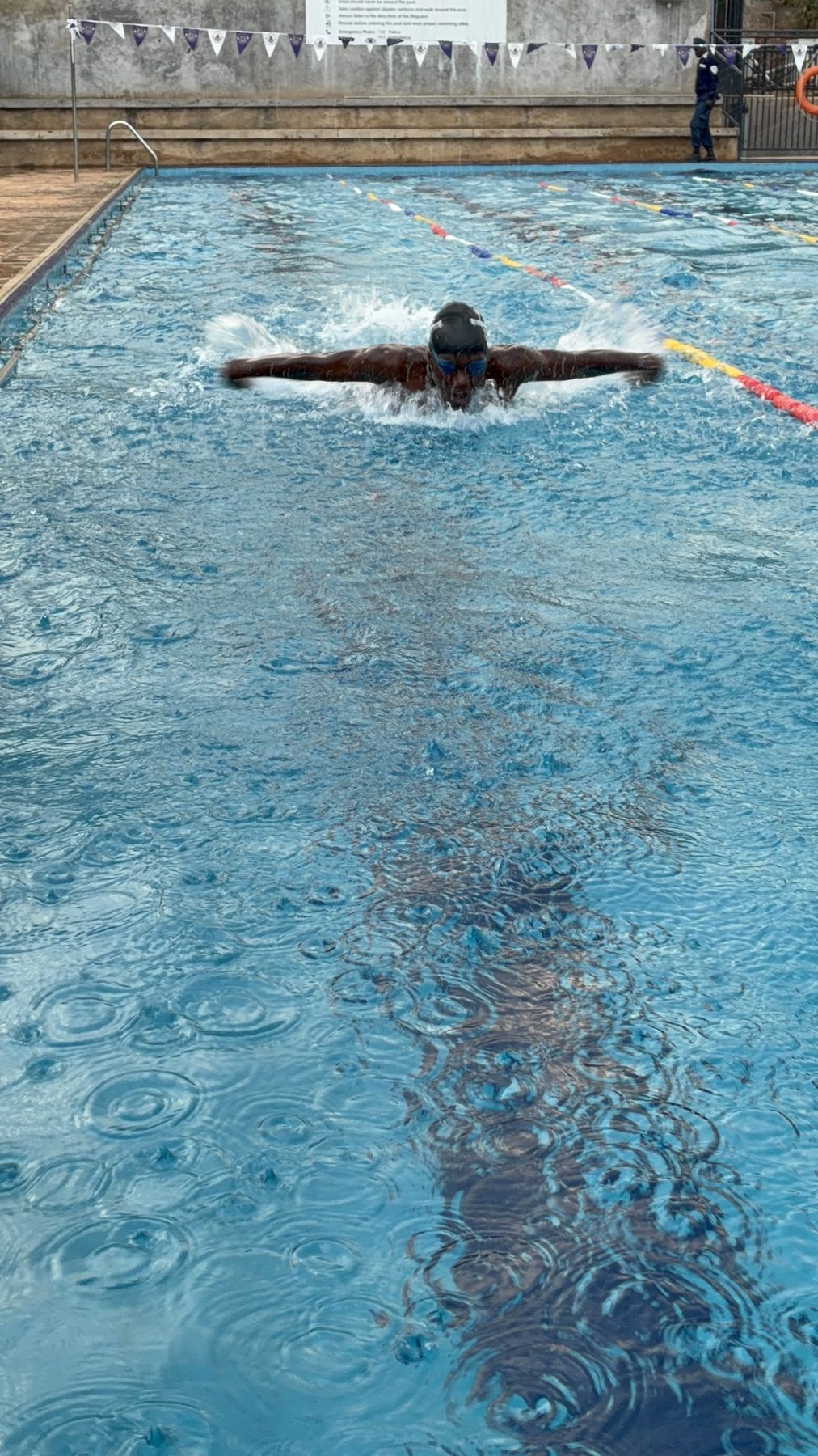 Butterfly at full stretch