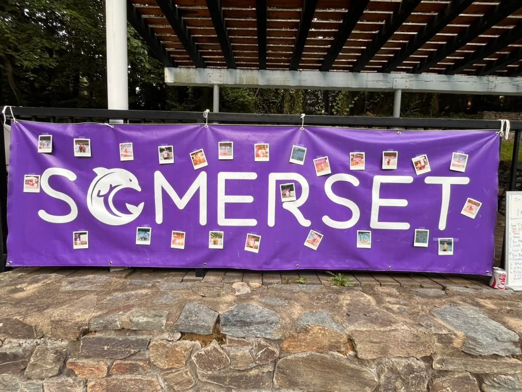 Somerset Dolphins banner